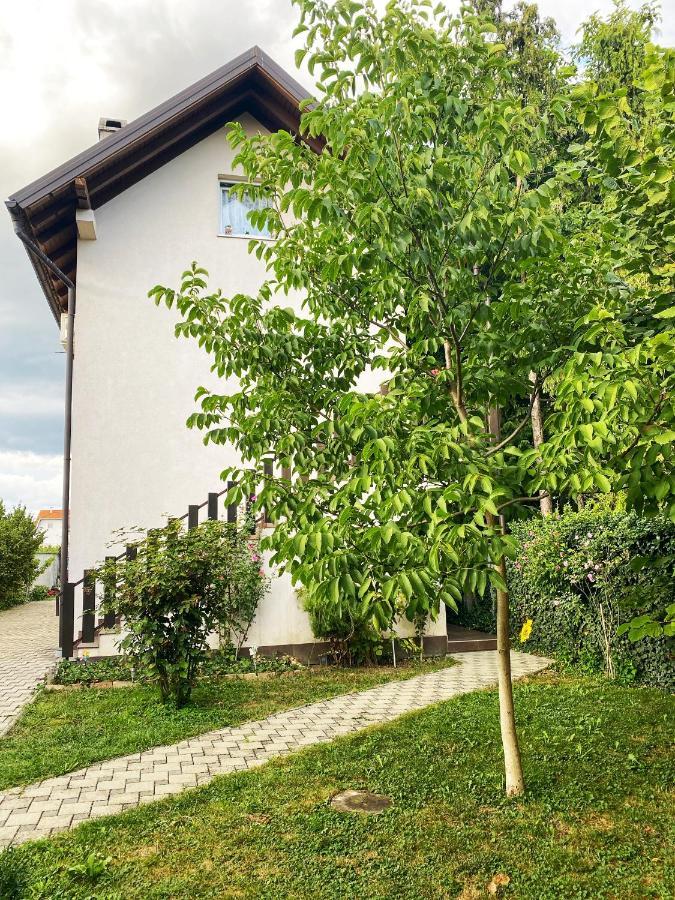 Hotel Guesthouse Stari Jasen Velika Mlaka Luaran gambar